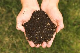 Ammendante Compostato Misto (COMPOST) â€“ Avvio campagna ritiro gratuito